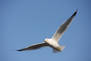 자연 2