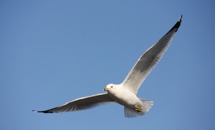 자연 2