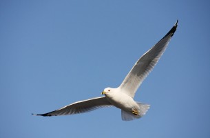 자연 2