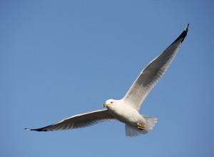 자연 2